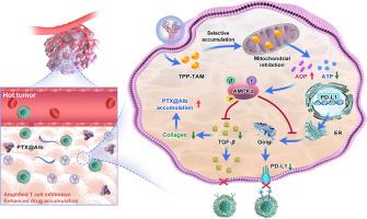 Mitochondrial metabolism blockade nanoadjuvant reversed immune-resistance microenvironment to sensitize albumin-bound paclitaxel-based chemo-immunotherapy