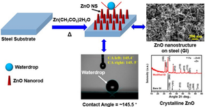 Efficient and Cost-Effective Single-Step Thin Overlay Zinc Oxide Nanostructure for Enhanced Corrosion Protection of Galvanized Steel