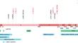 Spectrum and characteristics of germline PALB2 pathogenic variants in 1556 early-onset breast cancer patients in China.