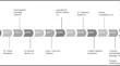 A step in the right direction, or more of the same? A systematic review of the impact of human rights due diligence legislation