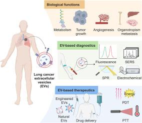 Recent advances to address challenges in extracellular vesicle-based applications for lung cancer