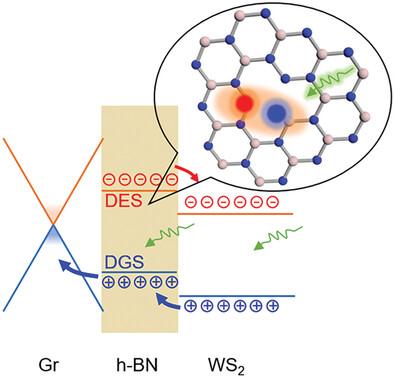 Optically Active Defect Engineering via Plasma Treatment in a MIS‐Type 2D Heterostructure