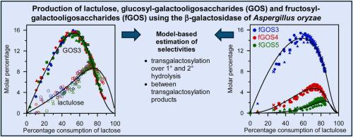 Model-based estimation of selectivities of the β-galactosidase of Aspergillus oryzae in the production of lactulose and fructosyl-galactooligosaccharides