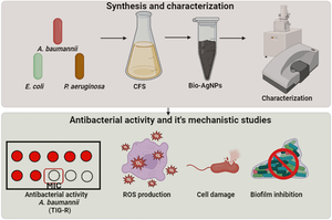 Cell-free supernatant-assisted biogenic silver nanoparticles enhance the antibacterial efficacy of communicating bacterial pathogens