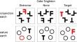 Age-related differences in resting-state, task-related, and structural brain connectivity: graph theoretical analyses and visual search performance.