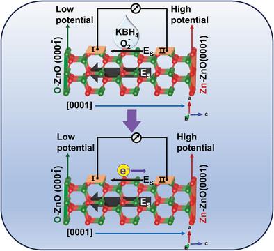 A (
         
            
               10
               
                  1
                  ¯
               
               0
            
            $10\bar{1}0$
         )-Orientated ZnO Single Crystal Chem-Voltaic Device Beyond Conventional Fuel Cells