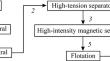 Recovery of Rare Earth Element-Bearing Placer Minerals