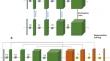 Contrastive Learning vs. Self-Learning vs. Deformable Data Augmentation in Semantic Segmentation of Medical Images.