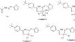 Synthesis, Characterization, Theoretical Studies and BSA Binding Of Co(II), Ni(II) and Cu(II) Schiff Base Complexes