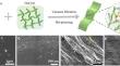 Enhanced Flexoelectricity in Barium Titanate-Cellulose Composite Thin Films