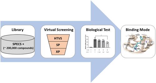 Computer-aided discovery of novel aryl hydrocarbon receptor ligands to regulate CYP1A1 expression in inflammatory macrophages