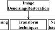 Towards scanning electron microscopy image denoising: a state-of-the-art overview, benchmark, taxonomies, and future direction