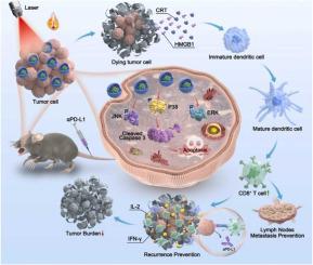 NIR-II photothermal therapy mediated by polymer-based nanoparticles to enhance checkpoint inhibitor immunotherapy for inhibiting lymph node metastasis in oral squamous cell carcinoma