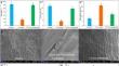 Carbon dioxide sensitization delays the postharvest ripening and fatty acids composition of Capsicum fruit by regulating ethylene biosynthesis, malic acid and reactive oxygen species metabolism