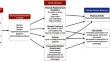 Social and Structural Determinants of Health and Social Injustices Contributing to Obesity Disparities.