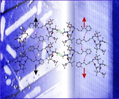 Incorporation of phenylcarbonyl groups in the sidechain: A tool to induce ordered assembly of peptides on surfaces.