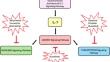 Glucocorticoid Therapy in Acute Lymphoblastic Leukemia: Navigating Short-Term and Long-Term Effects and Optimal Regimen Selection.