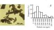 Preparation and Characterisation of Composites from Industrial Waste: Wood Flour and Expanded Ethylene Vinyl Acetate