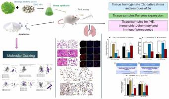 Pulmonary damage induction upon Acrylic amide exposure via activating miRNA-223–3p and miRNA-325–3p inflammasome/pyroptosis and fibrosis signaling pathway: New mechanistic approaches of A green-synthesized extract