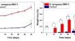 Biodegradation of Ethylene Vinyl Acetate Using Klebsiella aerogenes EM011 Isolated from Effective Microorganisms