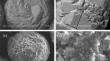 Influence of Genesis on Mechanochemical Activation and Reactivity of Boehmite Prepared by Thermal and Hydrothermal Transformation of Gibbsite