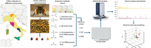 Application of a robust MALDI mass spectrometry approach for bee pollen investigation.