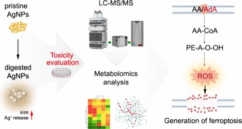 Metabolomics Analysis for Unveiling the Toxicological Mechanism of Silver Nanoparticles Using an In Vitro Gastrointestinal Digestion Model