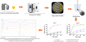 Preparation and Evaluation of Berberine-Excipient Complexes in Enhancing the Dissolution Rate of Berberine Incorporated into Pellet Formulations.