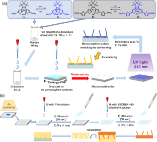 Polymer replica of microcrystalline surface with dual wettability, mimicking a termite wing