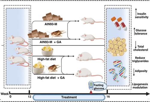 Gryllus assimilis Dietary Wholemeal Powder Improves Glycemic Parameters and Regulates the Expression of Lipogenic Genes in Obese Mice