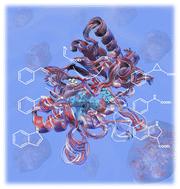 Combined experimental and molecular dynamics approach towards a rational design of the YfeX biocatalyst for enhanced carbene transferase reactivity†