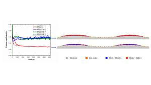 The effect of ethanol fuel dilution on oil performance and MoDTC tribofilms formation and composition