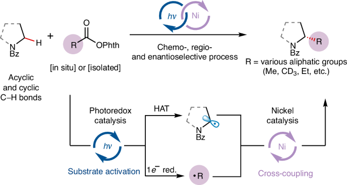 Enantioselective alkylation of α-amino C(sp3)−H bonds via photoredox and nickel catalysis