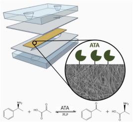 Immobilization of His6-tagged amine transaminases in microreactors using functionalized nonwoven nanofiber membranes