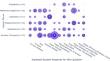 Why ask why? An analysis of teachers’ why-questions in elementary and middle grade mathematics classrooms