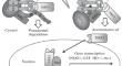 High Throughput Screening in Drug Discovery: Problems and Solutions