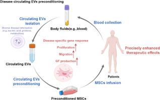 Disease-derived circulating extracellular vesicle preconditioning: A promising strategy for precision mesenchymal stem cell therapy