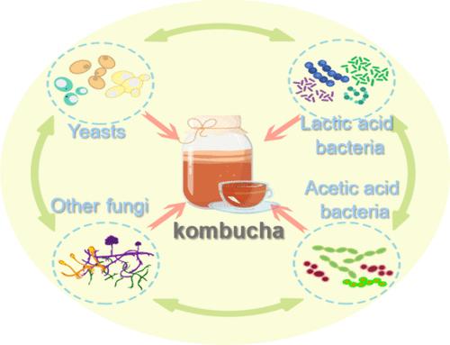 Exploring Kombucha: Production, Microbiota Biotransformation, Flavor, Health Benefits and Potential Risks