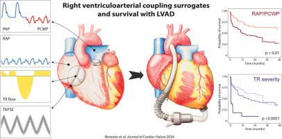 Right Ventriculoarterial Coupling Surrogates and Long-Term Survival in LVAD Recipients: Results of the ASSIST-ICD Multicentric Registry