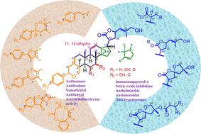 The dichapetalins and dichapetalin-type compounds: structural diversity, bioactivity, and future research perspectives.