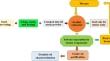 Extraction of Argemone ochroleuca seeds oil and parametric optimization for biodiesel and epoxy oil production