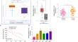 LncRNA BBOX1-AS1 Contributes to Laryngeal Carcinoma Progression by Recruiting SRSF1 to Maintain EFNB2 mRNA Stability.