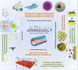 Gas sensing properties of WO3 based materials with hierarchical structural features