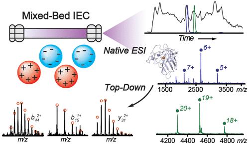 Online Mixed-Bed Ion Exchange Chromatography for Native Top-Down Proteomics of Complex Mixtures