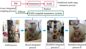 A novel coupling process to replace the traditional multi-stage anammox process-sulfur autotrophic denitrification coupled anammox system.