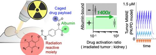 Extended Pharmacokinetics Improve Site-Specific Prodrug Activation Using Radiation