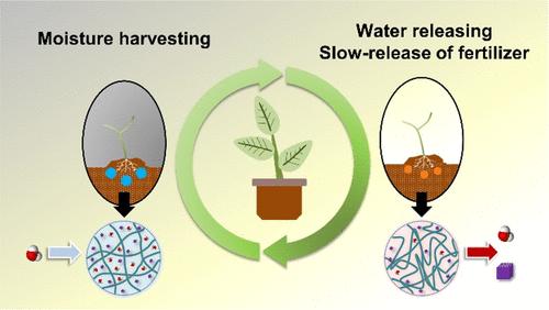 Self-Irrigation and Slow-Release Fertilizer Hydrogels for Sustainable Agriculture