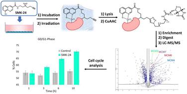 Probing the metalloproteome: an 8-mercaptoquinoline motif enriches minichromosome maintenance complex components as significant metalloprotein targets in live cells†