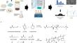 Assessment of Fungal Decomposition Strategies as a Step Towards the Development of Sustainable Pressure Sensitive Adhesives