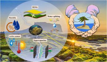 Unveiling the marine Sargassum horneri material for energy and active sensor devices: Towards multitasking approaches